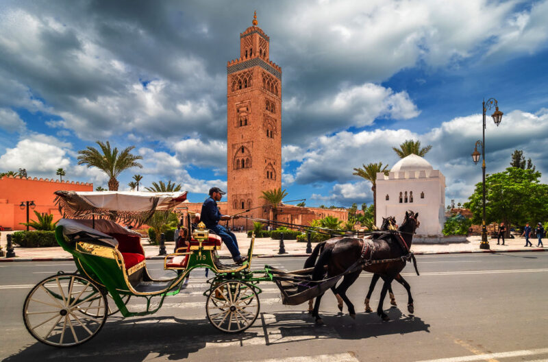 Marrakech en Caleche – visite d’une demi  journee